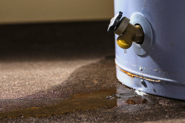 Best Flooded house restoration  in Loop, PA