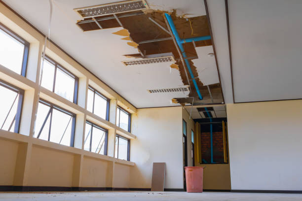 Best Water damage contractors near me  in Loop, PA