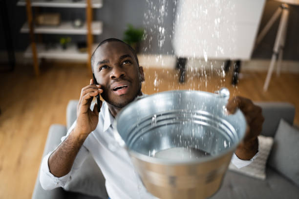 Best Professional water damage repair  in Loop, PA