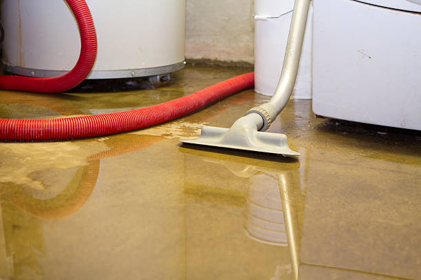 Best Mold removal after water damage  in Loop, PA