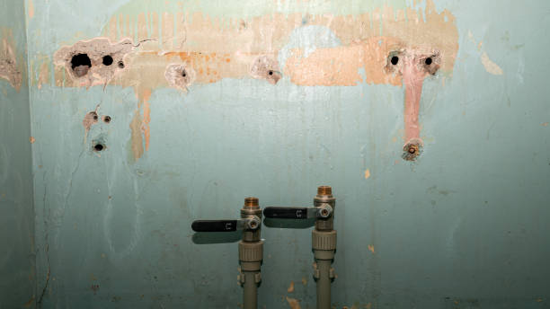 Best Carpet water damage restoration  in Loop, PA