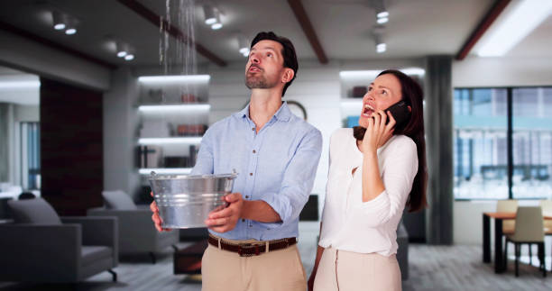 Best Flood damage cleanup  in Loop, PA